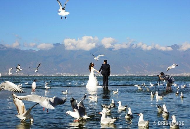 Chỉ các thiên tài mới nhận ra điểm bất thường trong loạt ảnh này thôi-3