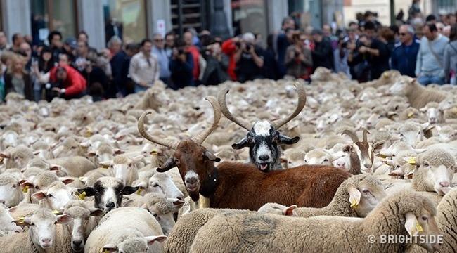 Chỉ các thiên tài mới nhận ra điểm bất thường trong loạt ảnh này thôi-4