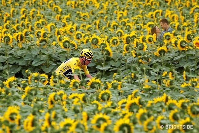 Chỉ các thiên tài mới nhận ra điểm bất thường trong loạt ảnh này thôi-5