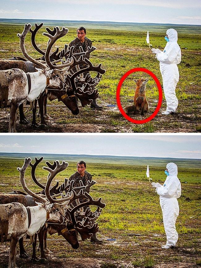 Chỉ các thiên tài mới nhận ra điểm bất thường trong loạt ảnh này thôi-8