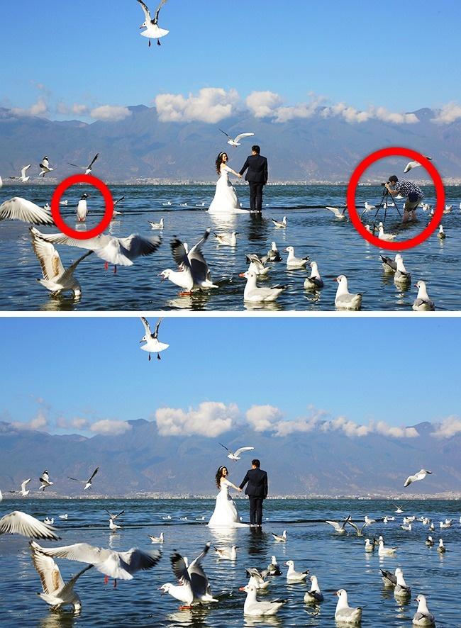 Chỉ các thiên tài mới nhận ra điểm bất thường trong loạt ảnh này thôi-10