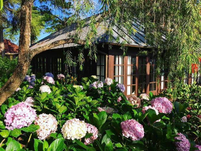 Hai khu nghỉ đẹp như tranh ở Đà Lạt trong MV của Hà Anh Tuấn-5