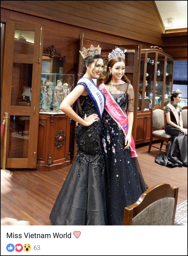 99% hoa hậu Đỗ Mỹ Linh đại diện Việt Nam dự thi 'Miss World 2017'-4