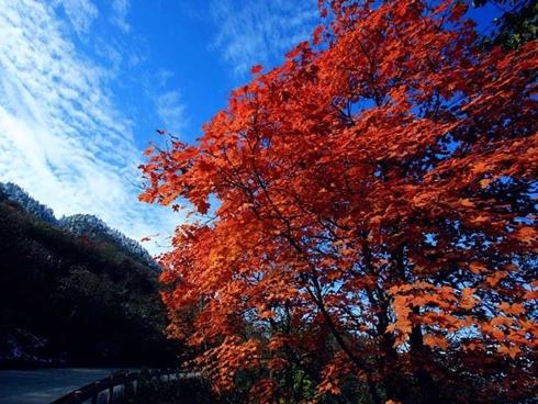 Hạ Long tuyệt đẹp bên bờ di sản trong 'Dấu ấn Việt Nam'-15