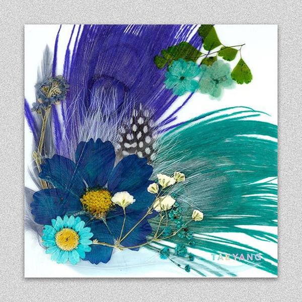 Bìa album kì công nhất Kpop thuộc về Taeyang: handmade và từ thiên nhiên-1