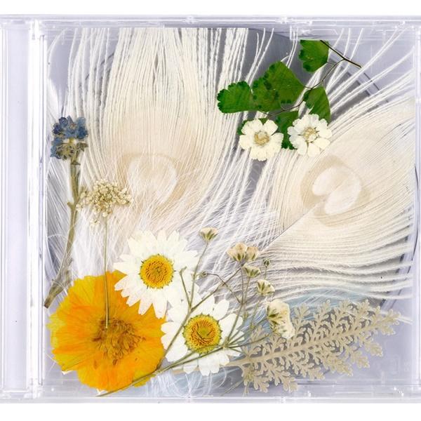 Bìa album kì công nhất Kpop thuộc về Taeyang: handmade và từ thiên nhiên-2