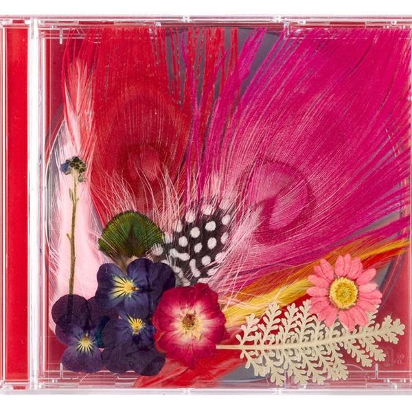 Bìa album kì công nhất Kpop thuộc về Taeyang: handmade và từ thiên nhiên-3