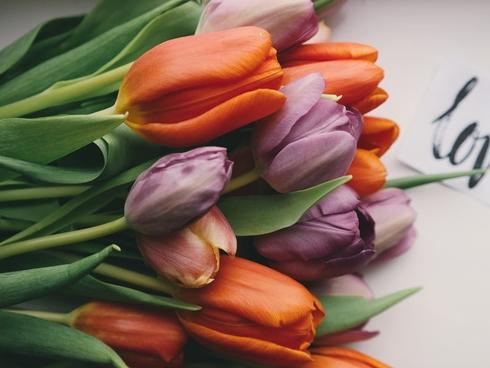 Đời sống chăn gối hạnh phúc quyết định bởi suy nghĩ của bạn-2