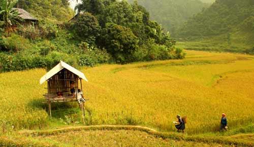 Du khách Việt 'sốt xình xịch' với những điểm ngắm mùa thu tuyệt đẹp-1