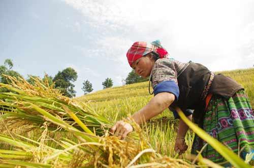 Du khách Việt 'sốt xình xịch' với những điểm ngắm mùa thu tuyệt đẹp-2