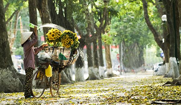 Du khách Việt 'sốt xình xịch' với những điểm ngắm mùa thu tuyệt đẹp-4