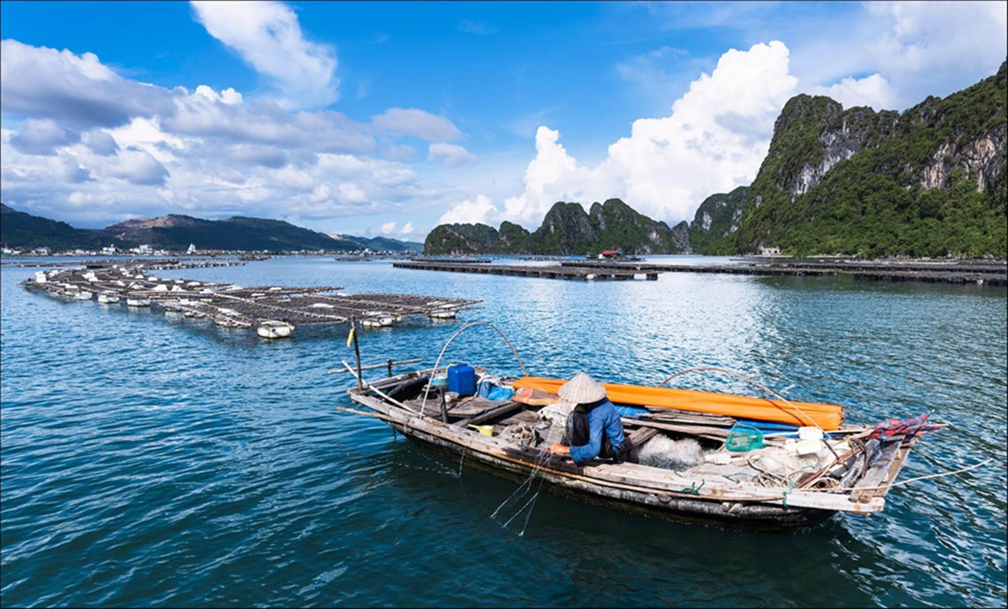 Hạ Long tuyệt đẹp bên bờ di sản trong 'Dấu ấn Việt Nam'-12