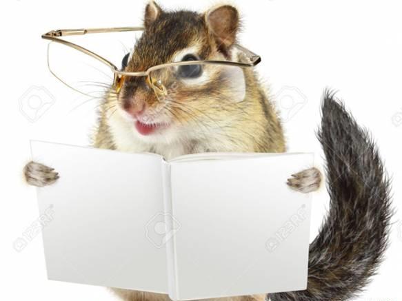 Thiên đường ẩm thực: Hariwon 'tăng động' khi tham gia đua tuần lộc-7