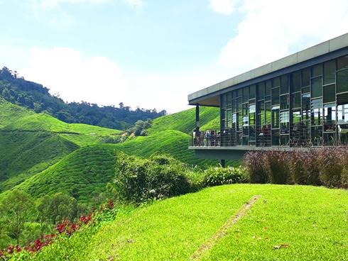 Du ngoạn 7 ngày đất nước tổ chức SEA Games