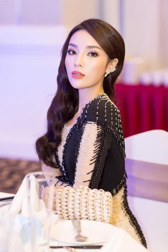 Hoa hậu Đỗ Mỹ Linh là đại diện chính thức của Việt Nam tại 'Miss World 2017'-3