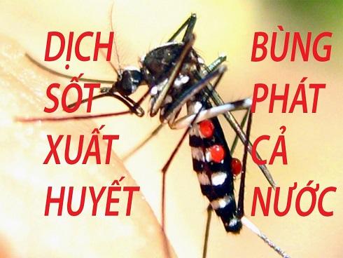 Dịch sốt xuất huyết: Phòng bệnh hơn chữa bệnh