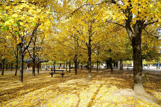 4 điểm đến 'vàng' tại châu Âu trong mùa thu-1