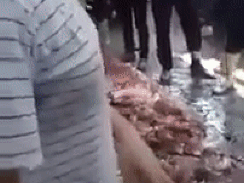 Tin nóng trong ngày 16/8: Video 2 phụ nữ hắt dầu luyn vào phản thịt lợn ‘giá rẻ’ lĩnh 9 tháng tù treo