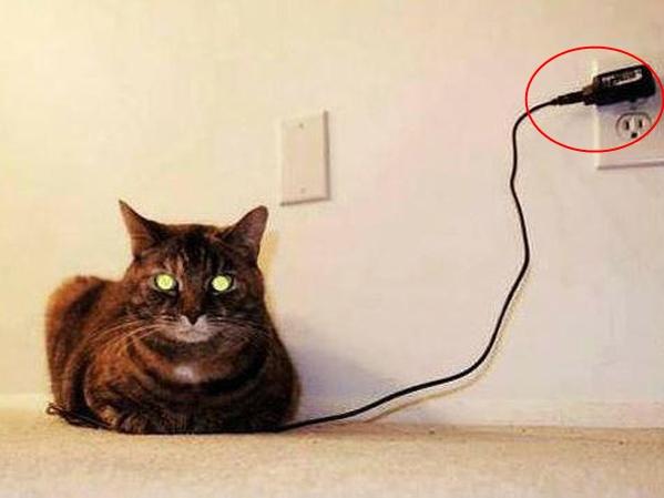 Ảnh động: Màn phối hợp chuẩn đến từng centimet-6