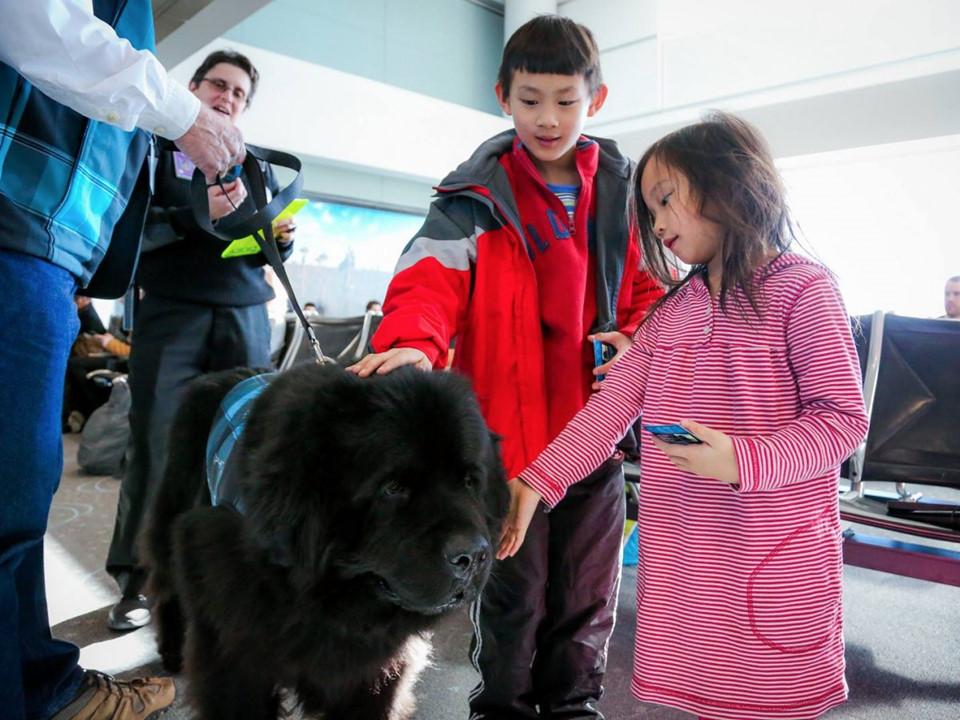 Những sân bay tuyệt đến mức dù bị hoãn chuyến, khách cũng khó bực mình-1