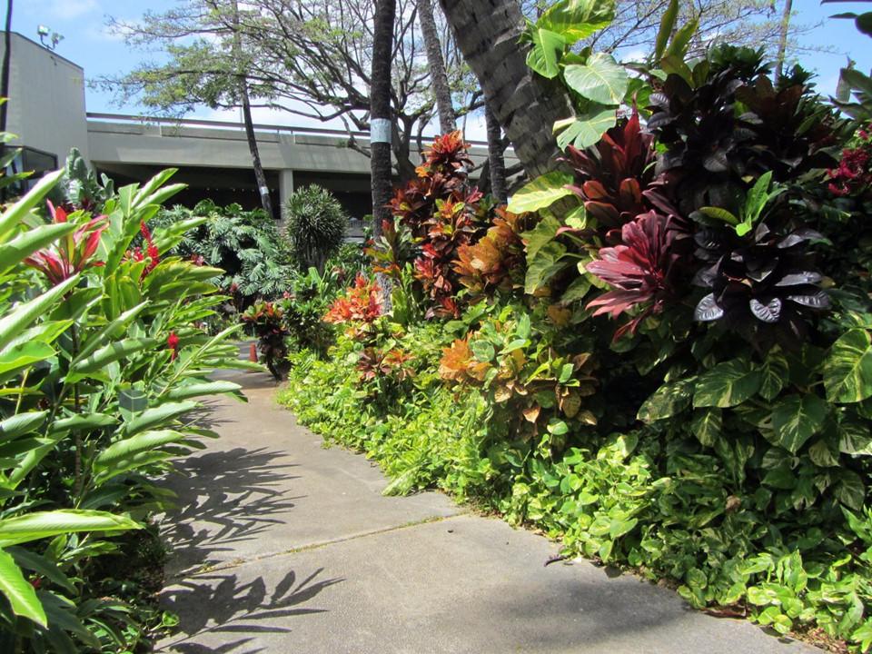 Những sân bay tuyệt đến mức dù bị hoãn chuyến, khách cũng khó bực mình-13