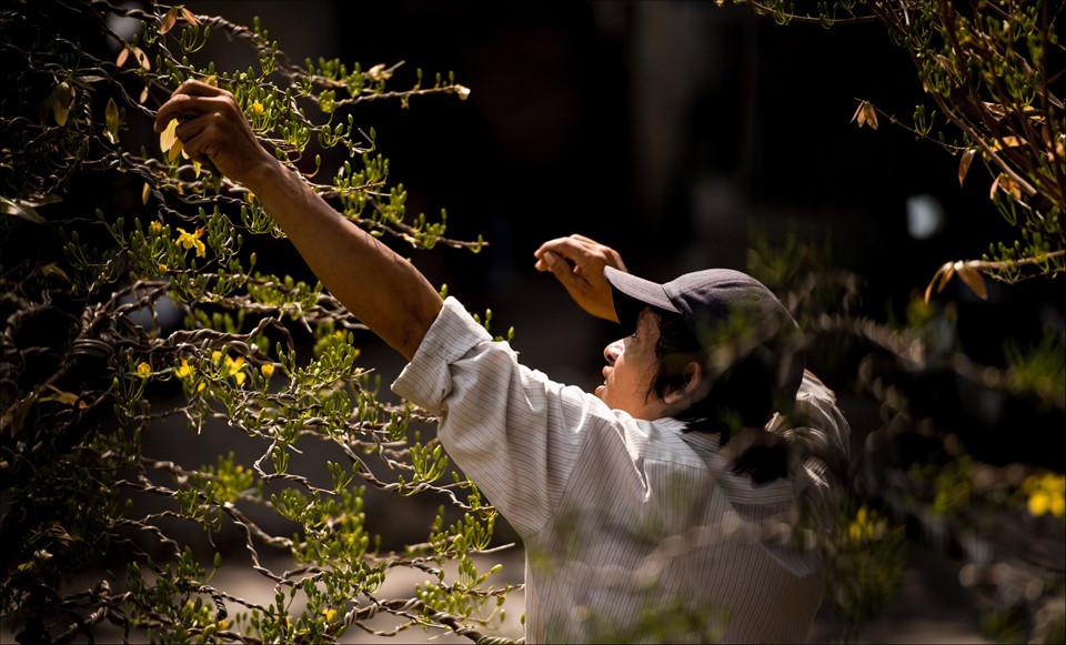 Bến Bình Đông giữ lại Tết xưa Sài thành-6