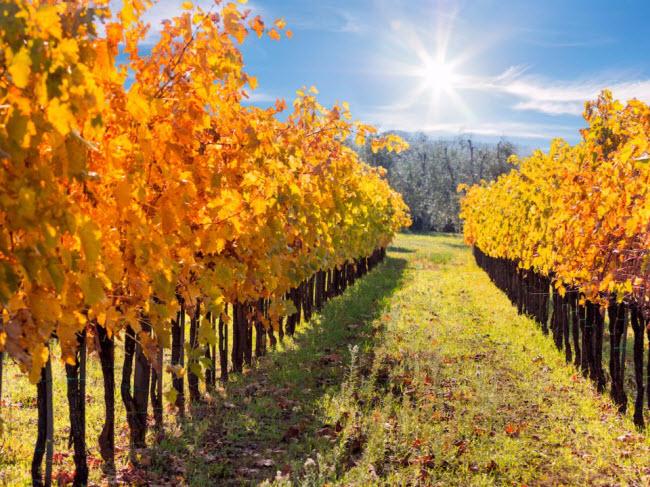 19 địa điểm ngắm mùa thu đẹp lay động lòng người-10