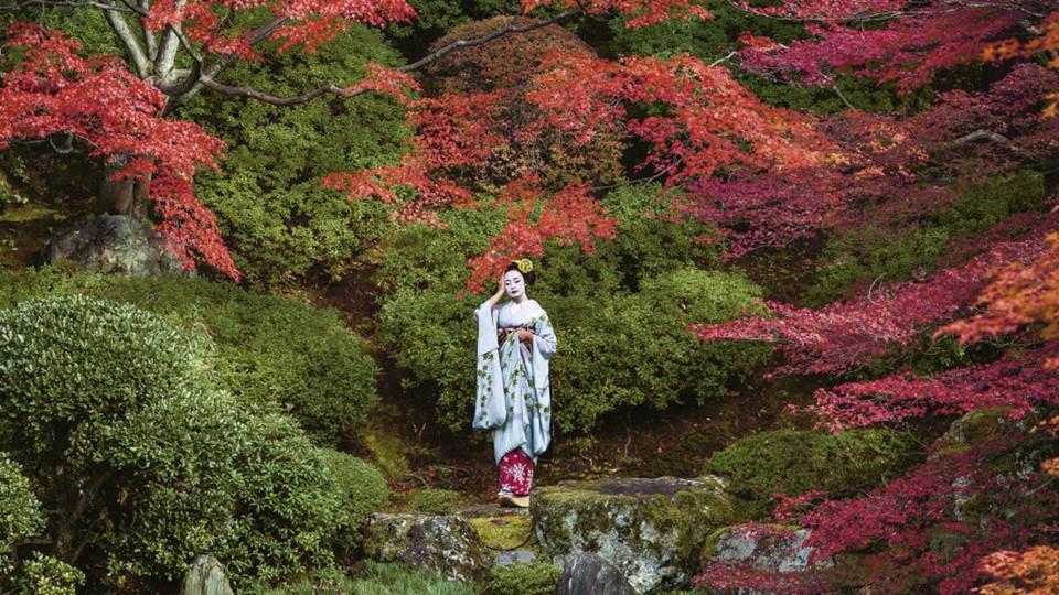 Cuộc sống bí ẩn của các thiếu nữ khổ luyện thành geisha-7