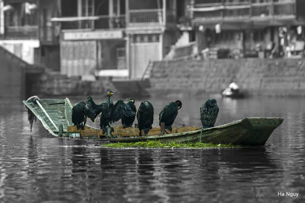 Chuyến đi Phượng Hoàng cổ trấn chất lừ của nữ du khách Việt khiến dân mạng ganh tỵ-6