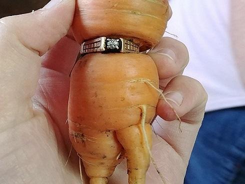 Mất nhẫn kim cương, 10 năm sau cà rốt 'đem trả'