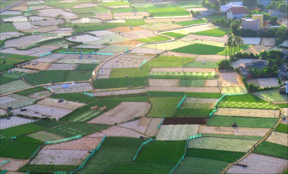 Hòn đảo thiên đường Lý Sơn trong bộ ảnh 'Dấu ấn Việt Nam'-9