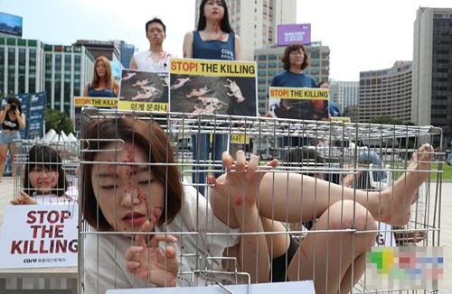 Thiếu nữ Hàn Quốc chui vào lồng vật vã để phản đối ăn thịt chó-3