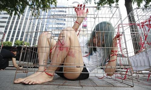 Thiếu nữ Hàn Quốc chui vào lồng vật vã để phản đối ăn thịt chó-4