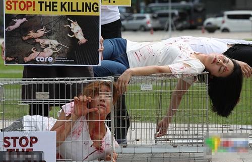Thiếu nữ Hàn Quốc chui vào lồng vật vã để phản đối ăn thịt chó-2