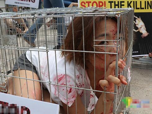 Cô chủ đi lấy chồng, chú chó quấn quýt ôm chân không muốn rời xa-3