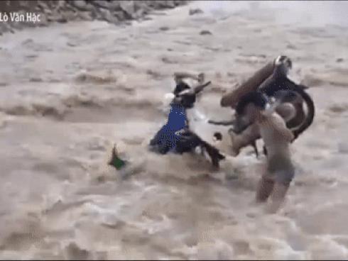 Thầy giáo khiêng xe máy băng qua nước lũ đến trường