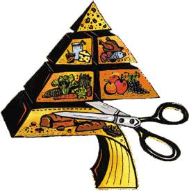 Lấy mỡ đốt mỡ và thực hư về phương pháp giảm cân không cần tập luyện DAS-6