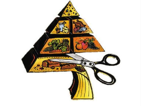 Thực phẩm ‘thần thánh’ đốt cháy mỡ nhanh, cung cấp nhiều dưỡng chất cho cơ thể-14