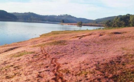 Những khoảnh khắc thiên nhiên tuyệt diệu trên Tổ quốc Việt Nam-6