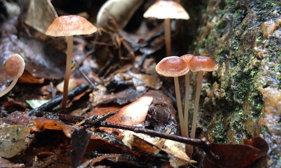 Những khoảnh khắc thiên nhiên tuyệt diệu trên Tổ quốc Việt Nam-10