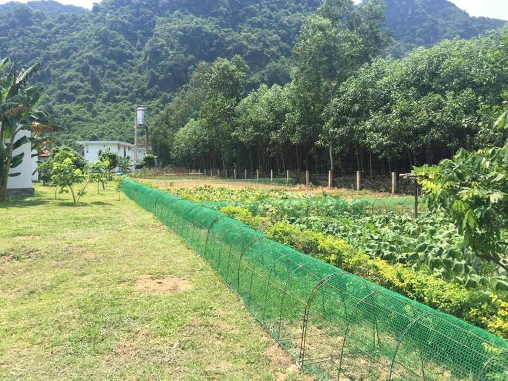 Có một nơi trốn xô bồ náo nhiệt lý tưởng ở Quảng Bình-2