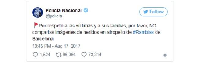 Tại sao mạng xã hội Tây Ban Nha ngập tràn ảnh mèo sau khủng bố Barcelona?-2