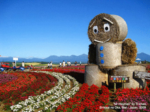 Lạc giữa thiên đường hoa nở rộ quanh năm Shikisai no Oka ở Nhật Bản