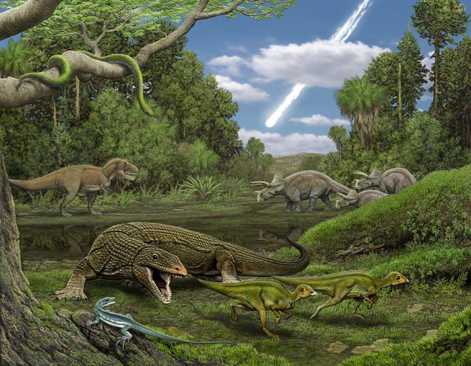 Phát hiện gây sốc: Có một loài cây từ thời khủng long vẫn sống tốt trên trái đất-2