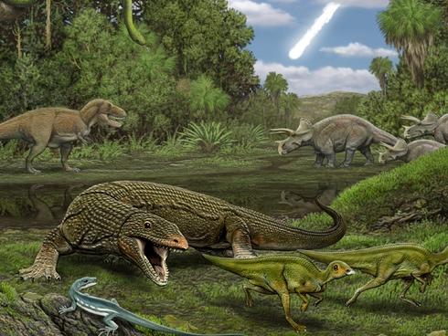 Phát hiện gây sốc: Có một loài cây từ thời khủng long vẫn sống tốt trên trái đất