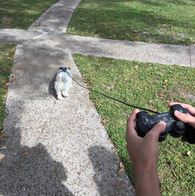 Tỉnh ngủ với ảnh hậu trường khó đỡ của game thủ-13