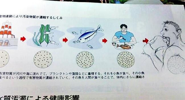 Những tác phẩm vẽ bậy kinh điển của học trò khi... chán học-6
