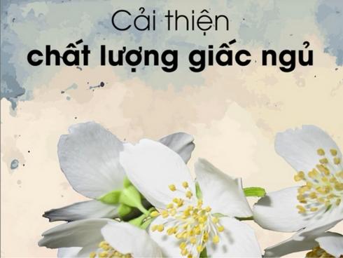 8 loại cây nên đặt trong phòng ngủ