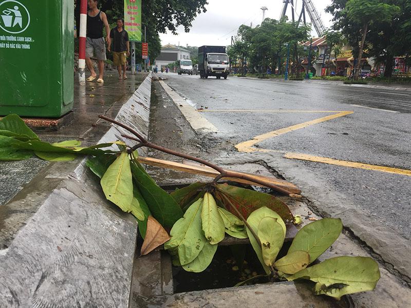 Nữ sinh rơi cống tử vong: Nhan nhản hố ga há miệng chờ nuốt người-8