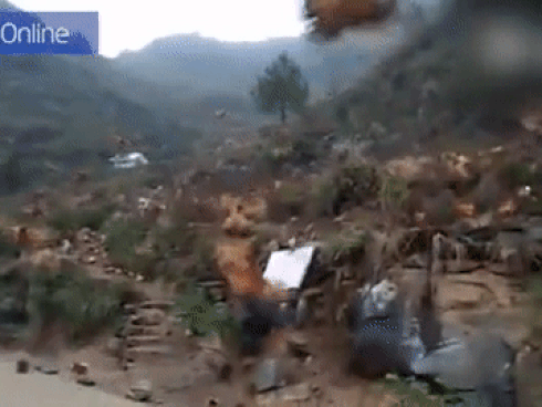 Những con gà biết bay ở Trung Quốc